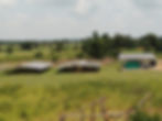 Solar mini-grids in Kalong, Northern Nigeria