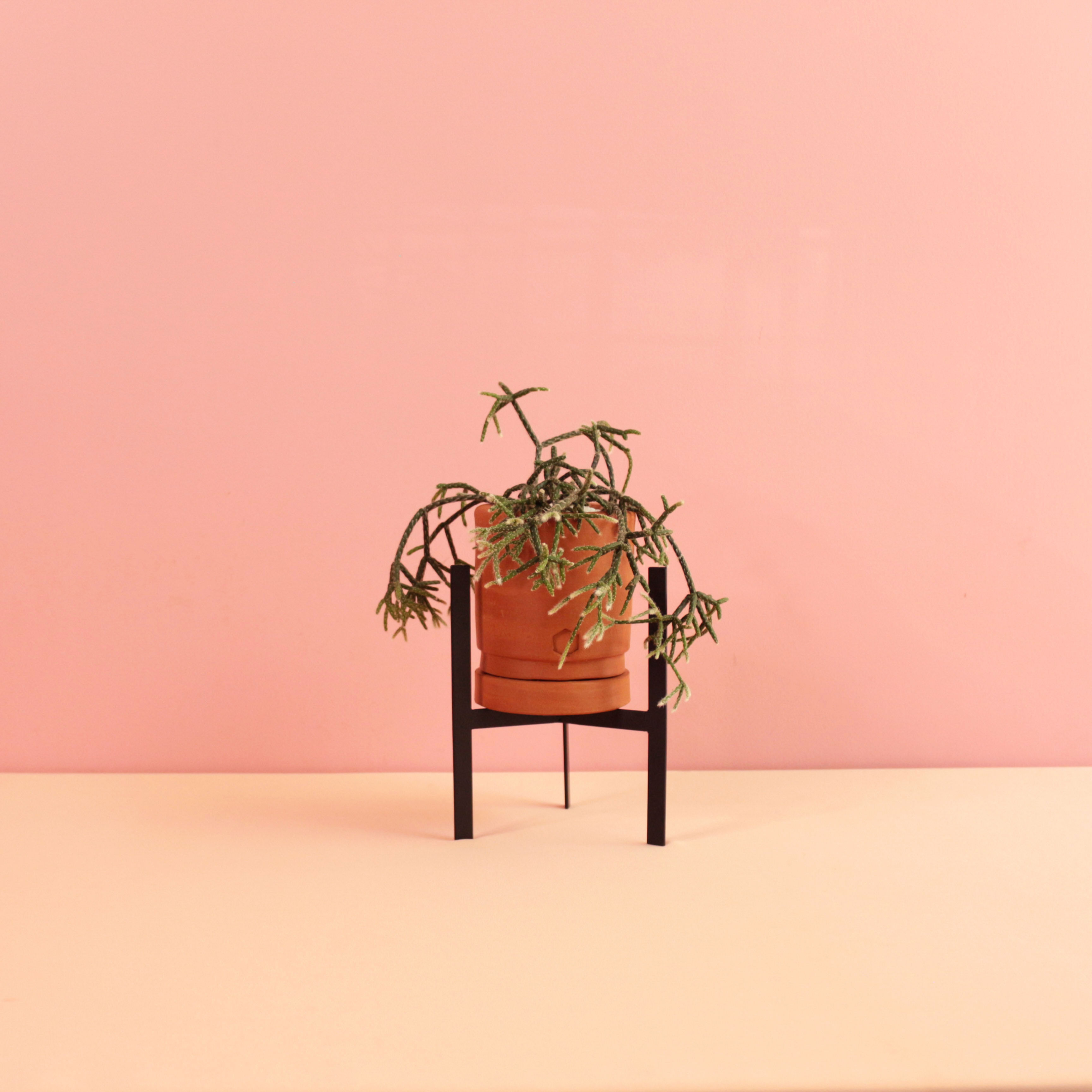 suporte de piso | pp17