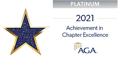 ACE - Platinum (2).png