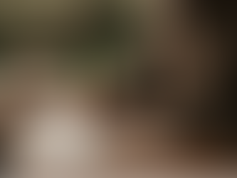 A Life Told in Words