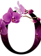 orchid_logo_1-removebg-preview.png