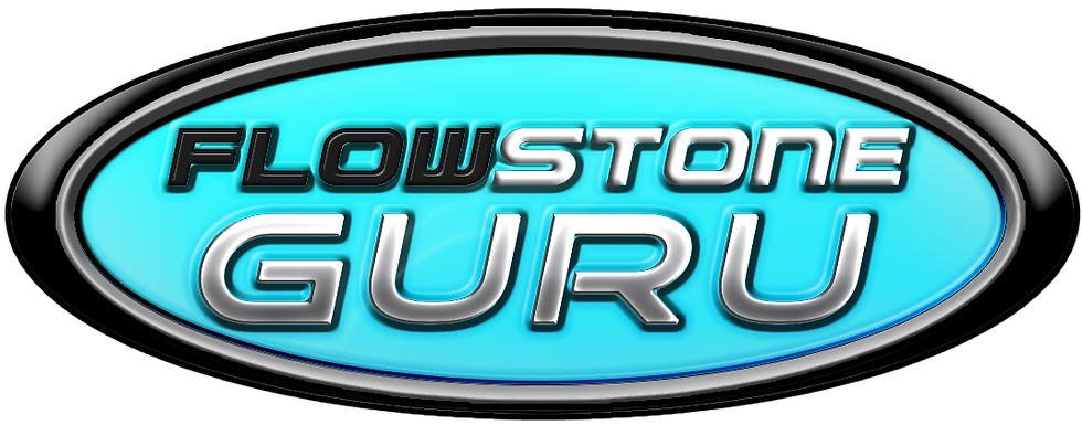 FSGURU LOGO2_SKY_noback