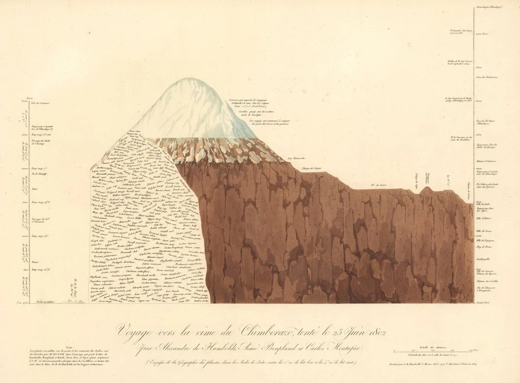 Humboldt continuou a revisar sua ilustração do ‘Tableau’ do Chimborazo, e algumas das espécies representadas em altitudes mais altas nesta ilustração de 1824 do vulcão diferem daquelas no original.