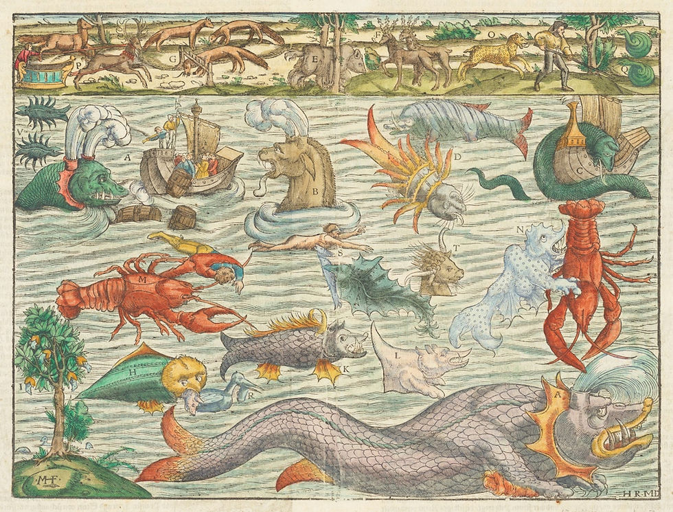Uma versão da carta dos monstros marinhos de Sebastian Münster (1544 pra frente) composta de cópias das vinhetas encontradas na Carta Marina de Olaus Magnus, de 5 anos antes.