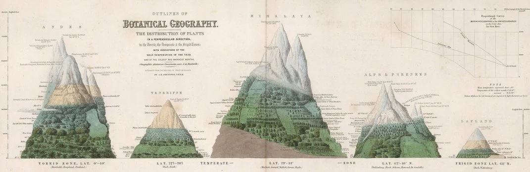 Este detalhe de um atlas de 1850 mostra a distribuição da vida vegetal em várias cadeias de montanhas, inspirada na ilustração do Chimborazo de Humboldt. 