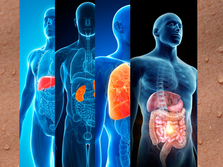 Les Émonctoires : Détoxifier pour Revivre