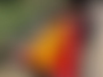 New classic and skate ski trail groomer arrives!