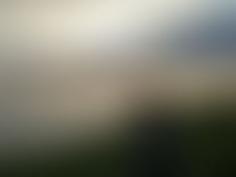 EL SILENCIO QUE GRITA(24 de Octubre de 2018)