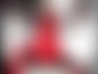 THE END (10 de Febrero 2018)