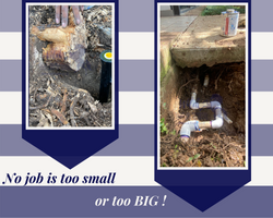 small.big updated new