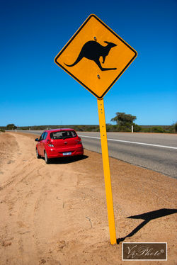 Western Australia