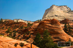 Canyon Overlook Trail - Zion Canyon