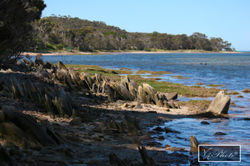 Kangaroo Island