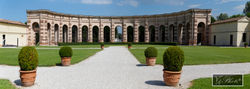 Mantova (7)