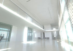 בית כנסת נתיבות