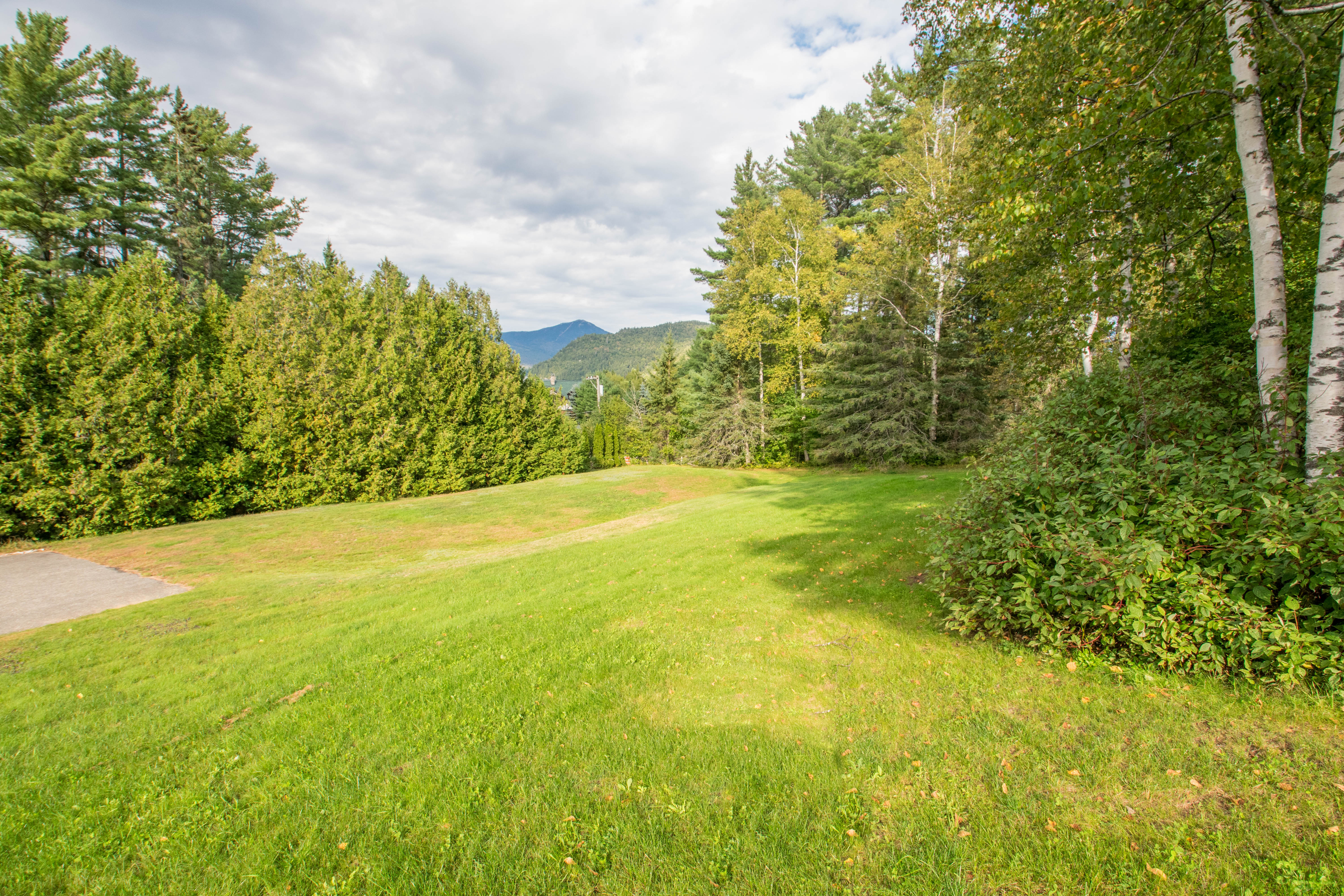 Back Lawn Adjacent to Parking Lot