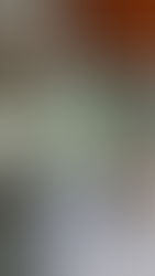 10월 시장조사 리포트