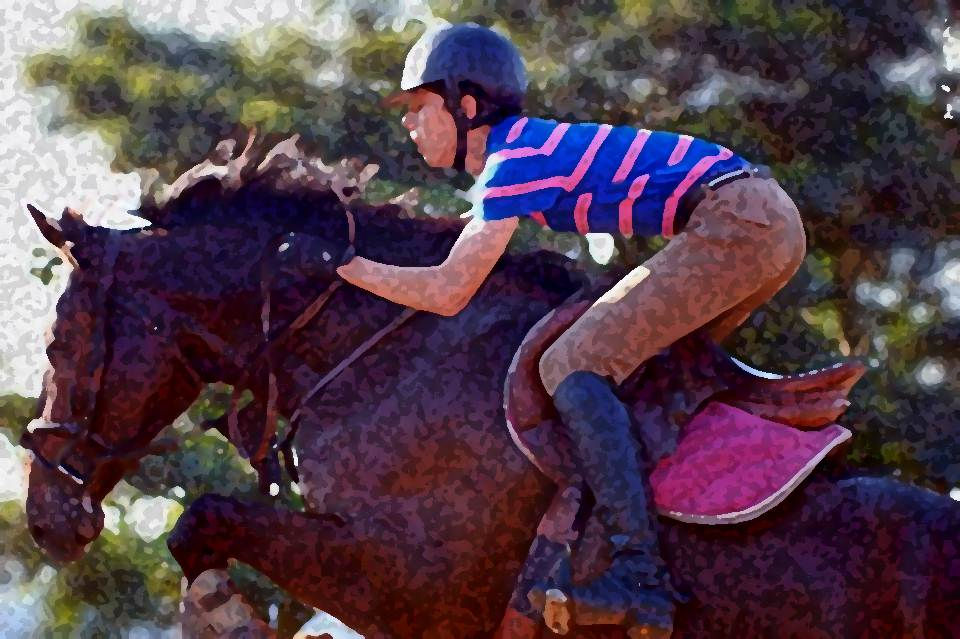 David Rittner David Rittner Gregori - Cavaleiro/ Show jumper - Brazil