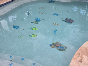 Commercial & Residential Pool