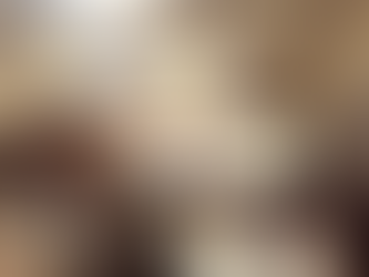 Tampan dan Cantik, 26 Finalis Siap Berkompetisi dalam Pemilihan JBNP Kalteng 2023