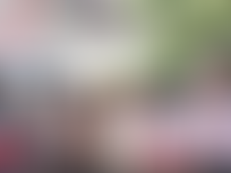 Wamendiktisaintek Tinjau Lokasi SUG di Katingan