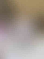 Boisson Sarrasin Bibo