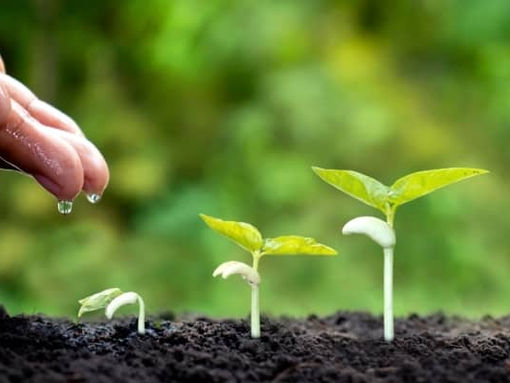 5 erreurs marketing qui freinent la croissance des PME food & beverage (et comment les éviter)