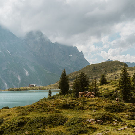 Switzerland travel photoshoot for families