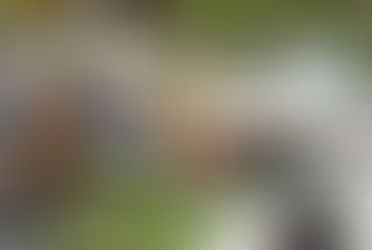 Why Affordable Junk Removal Is a Smart Choice?