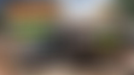 Debris Removal Service Done Right