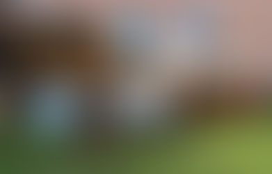 How to Prepare for Furniture Removal the Right Way?