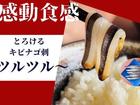 MAKUAKE　クラウドファンディング