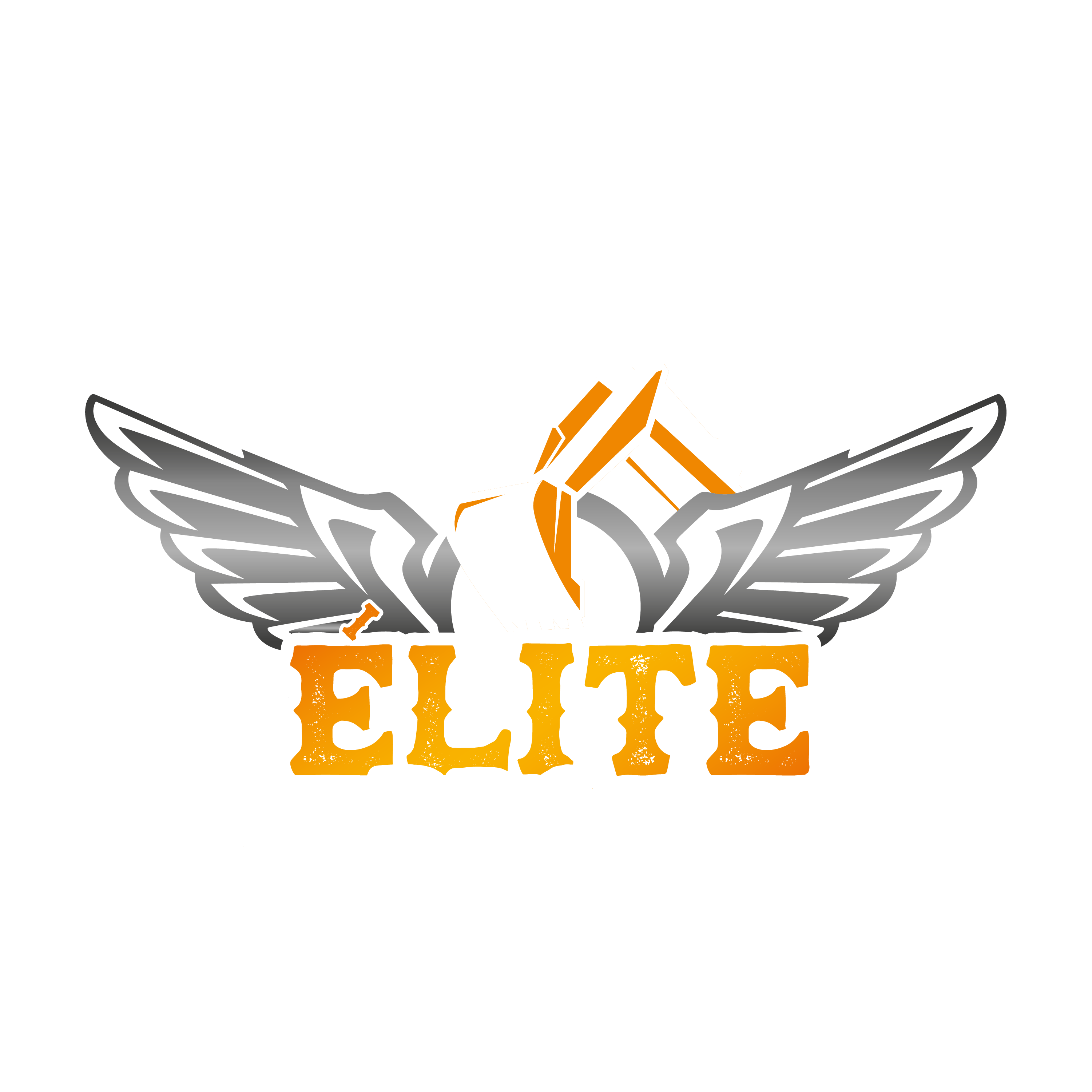 Piscine-ElitePro-02.png