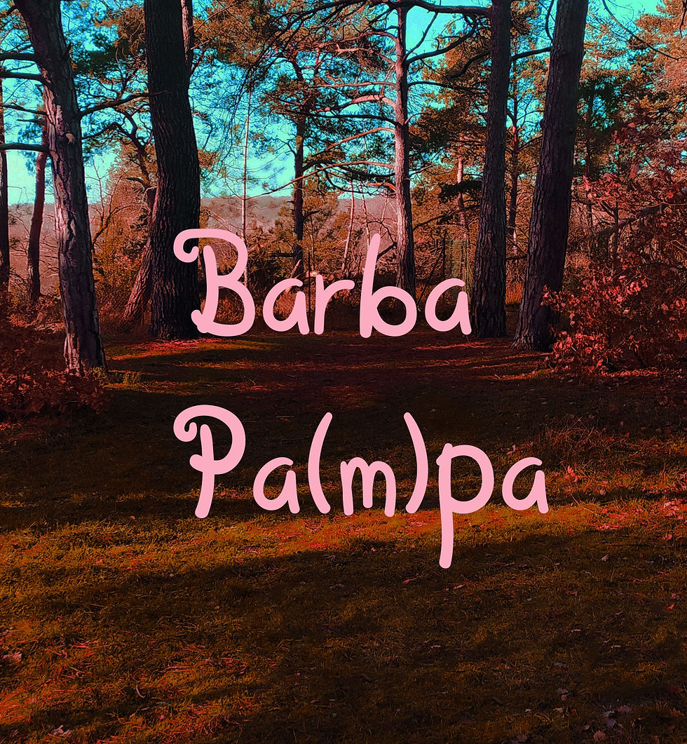 "Barba Pa(m)pa" (1)
