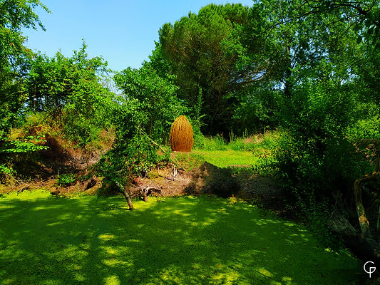 Pascal Giudicelli - Land Art