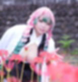 蓮乗院 彼岸花