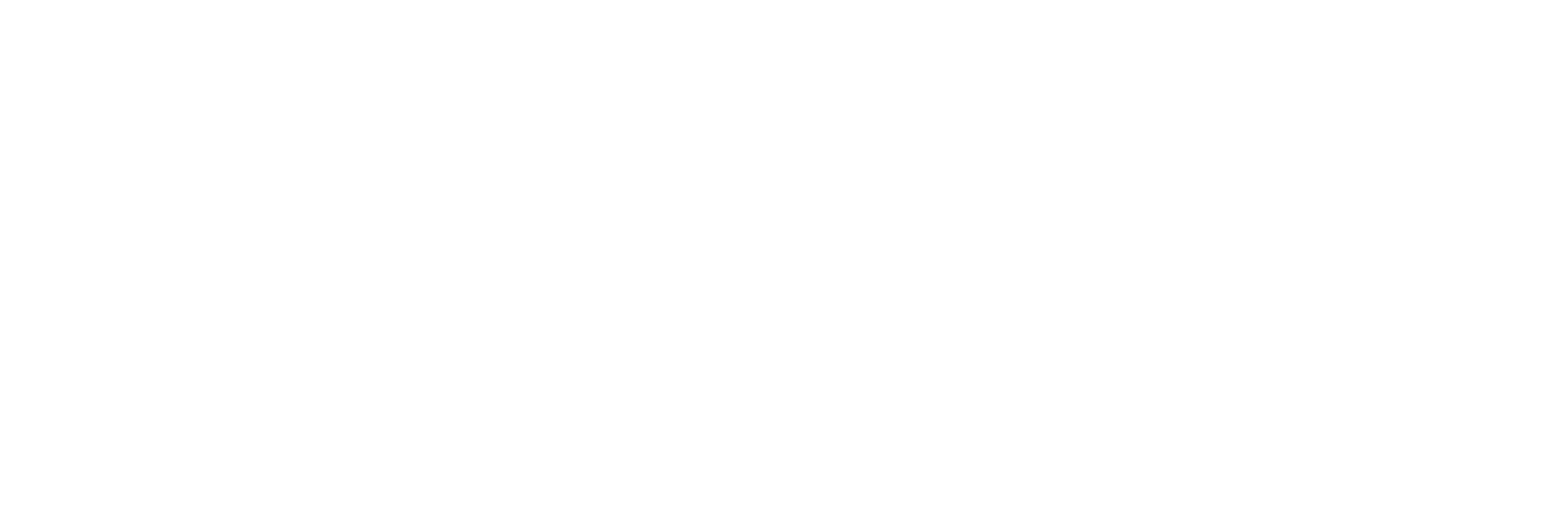Belus Group PCS Logo-White.png