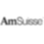 Carrier-Logos-Standard-AmSuisse