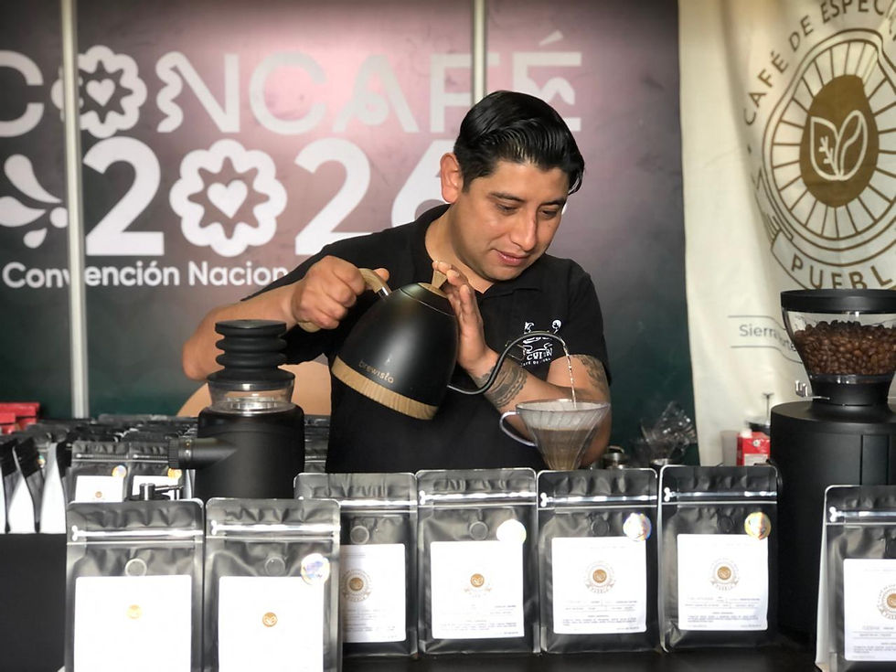 CURSO DE BARISMO
