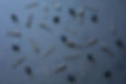 3J4A9692.jpg