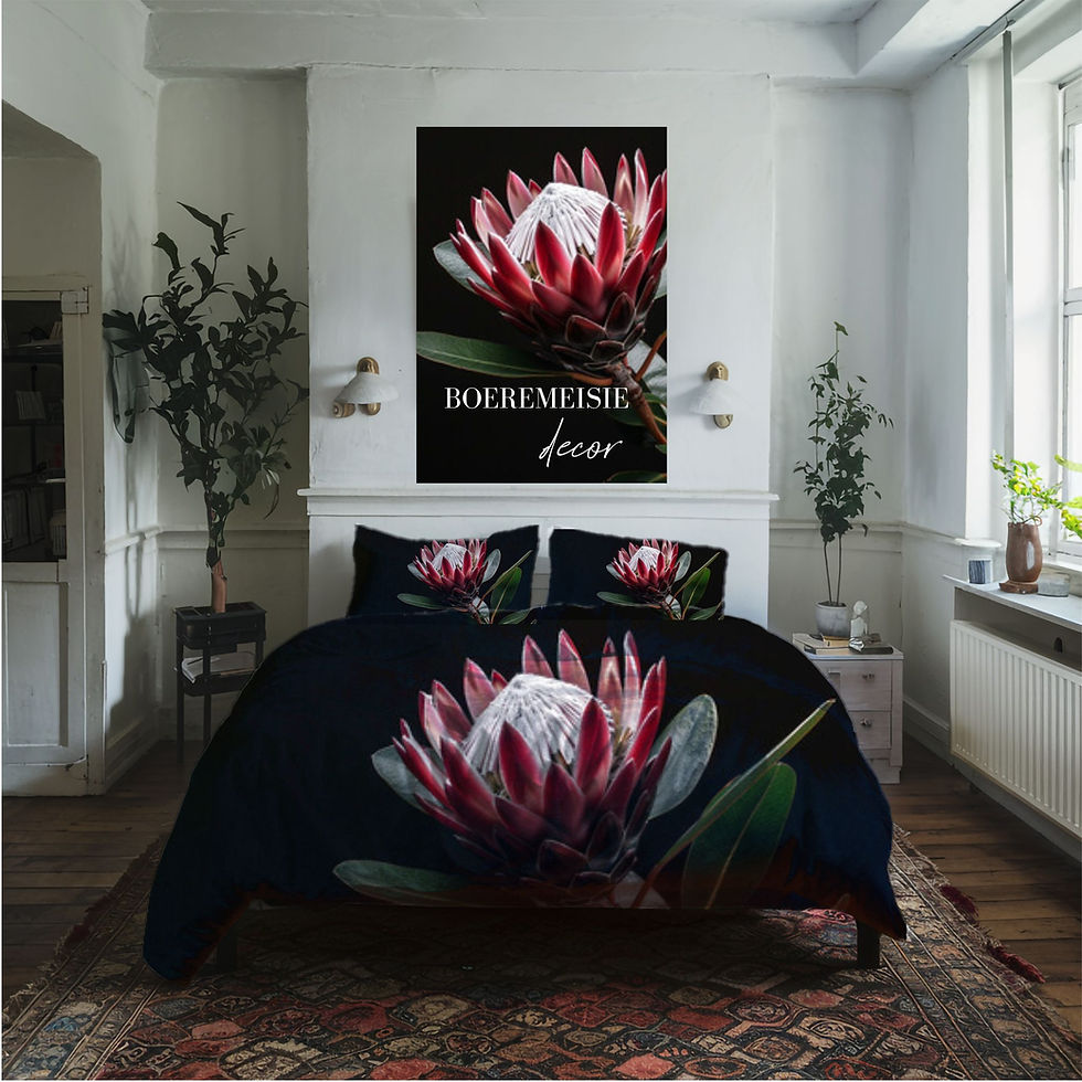 Black drop King Protea