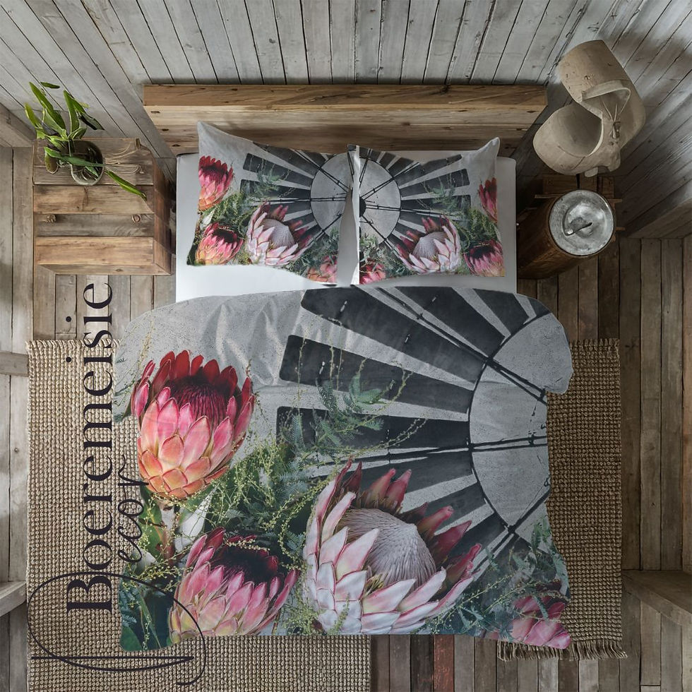 Grey Windpomp Protea