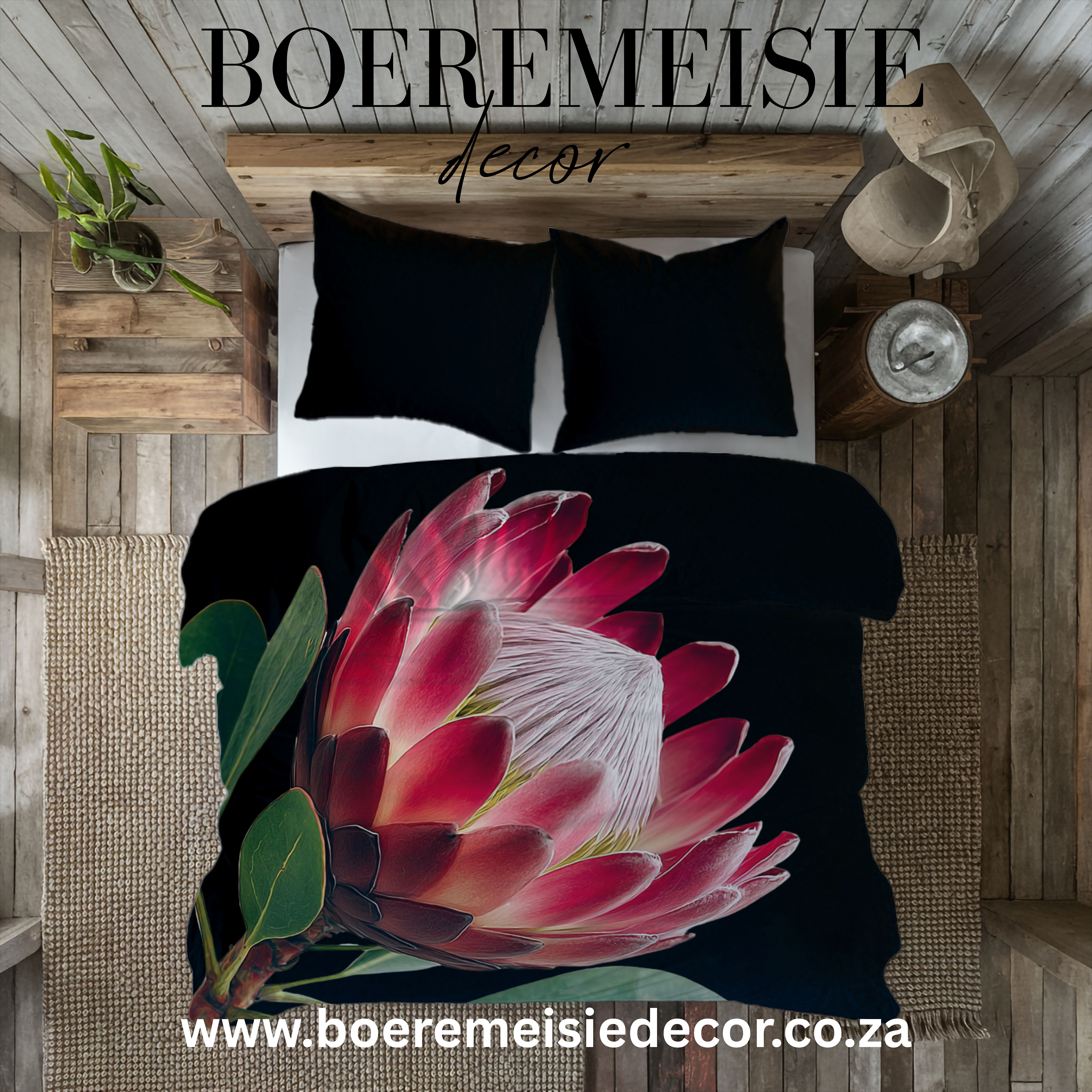 Protea 1 - Black