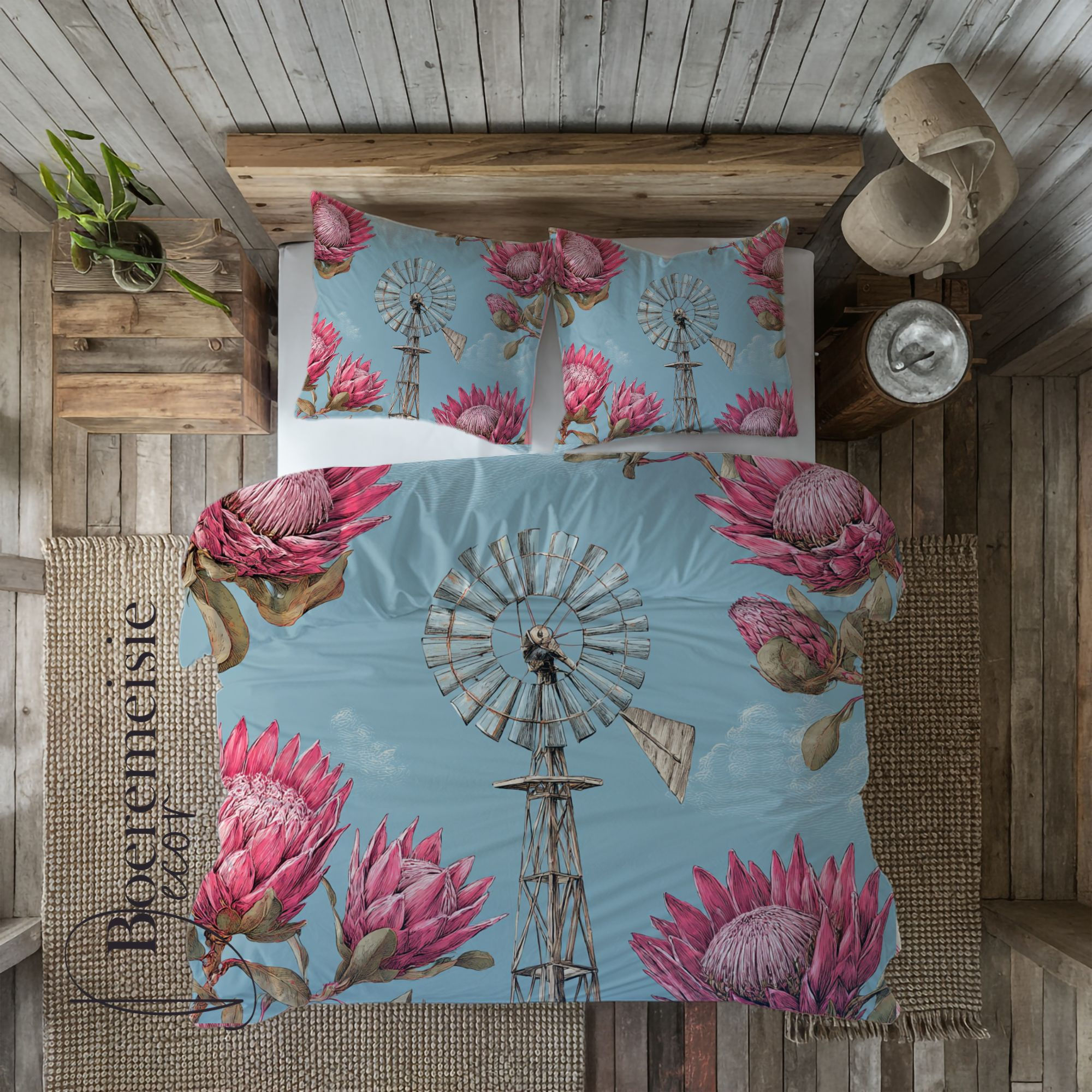 Protea windmil blue 2