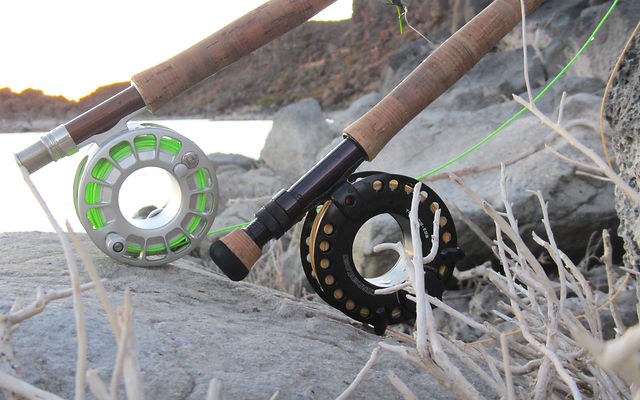 correntoso fly reel Ross Colorado Reels At $249 Toro | fly reel