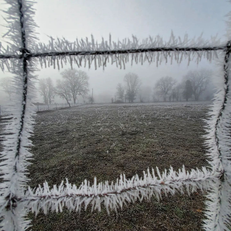 ארבע עונות חורף