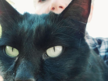 סולחת ושוכחת