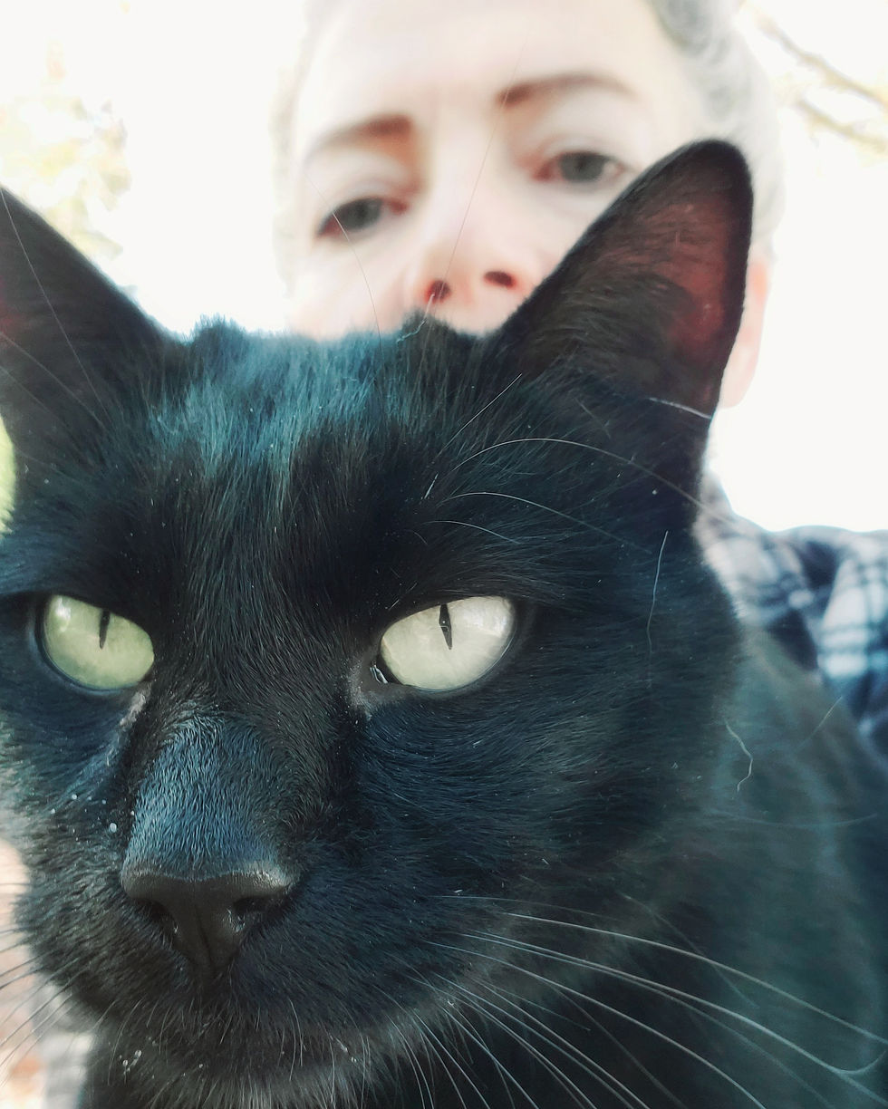 סולחת ושוכחת