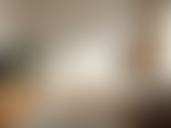 Transform Your Space: Embrace a New Year and New Home Look