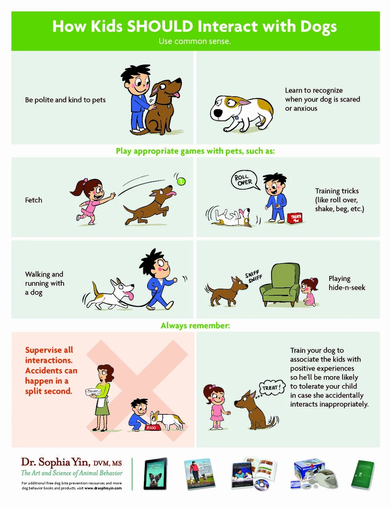 Dog Bite Prevention (Kids)